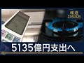 夏場の電気・ガス代“約5000円”支援決定　予備費から5135億円支出へ【報道ステーション】(2026年5月26日)