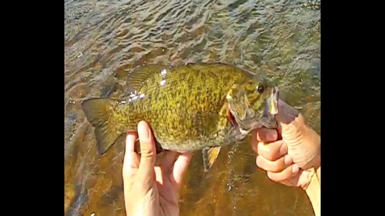 Lot D'attaches Et Plombs Pour Pêche Au Bass - Hameçons Et Appâts D'occasion (Japon)