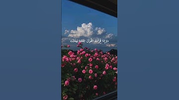 سورة الإسراء || القارئ فارس عباد #فارس_عباد #قرآن #تلاوات_خاشعة