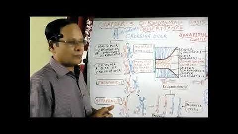 XII Bio Botany and Botany Chapter 3 Chromosomal basis of inheritance  Crossing over, Types and  sign