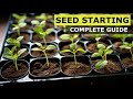 Seed starting masterclass complete guide to grow seedlings