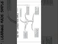 Class 9 Civics Chapter 1 What Is Democracy Why Democracy Mind Map Class 9 Civics Chapter 1 What Is Democracy Why Democracy Mind Map