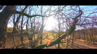 In the woods FPV - Vega RS3 - Gopro 5 - F20II screenshot 5