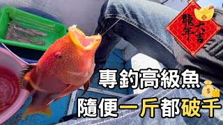 敲底怎麼釣 教你一次就明瞭 只要學會千元漁獲釣不完 #船釣 #share #fishing #釣點分享 #高級魚 #四齒魚 #石佬