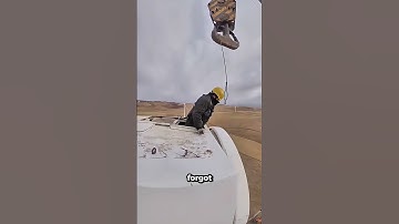 Why Wind Turbines Stand Still💨  #machine #windturbine