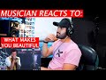 Harry Styles - What Makes You Beautiful (Cover) - Musician's Reaction