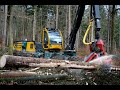 🌲4K|*CraneView* HSM 405 H4 • Harvester Action • Durchforstung • big trees • big machines • Logging🌲