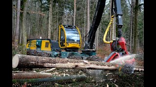 🌲4K|*CraneView* HSM 405 H4 • Harvester Action • Durchforstung • big trees • big machines • Logging🌲