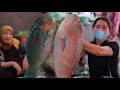 Buy parrot fish for glass noodle steam recipe - How to cook parrot fish - Cooking With Sros