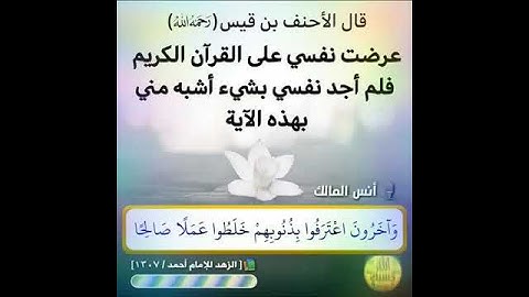 القارئ أنس المالك