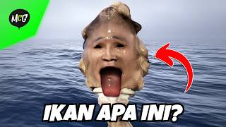 Strange Fish with Human Heads?