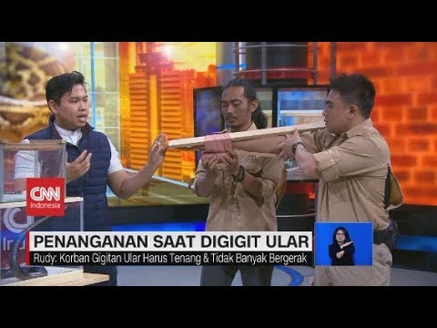 Jangan Panik, Begini Penanganan Saat Digigit Ular