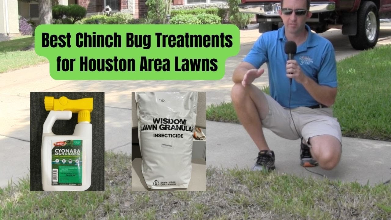 Lawn Insect Control Ut