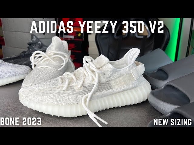 Adidas Yeezy Boost 350 V2 Bone 2023 On Feet Review New Sizing Tips