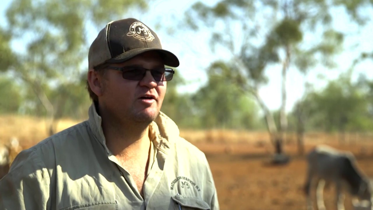 Top tips for successful yard weaning