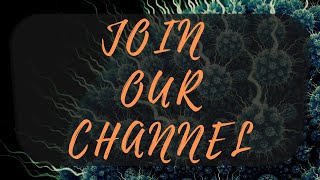 JOIN OUR CHANNEL !!!