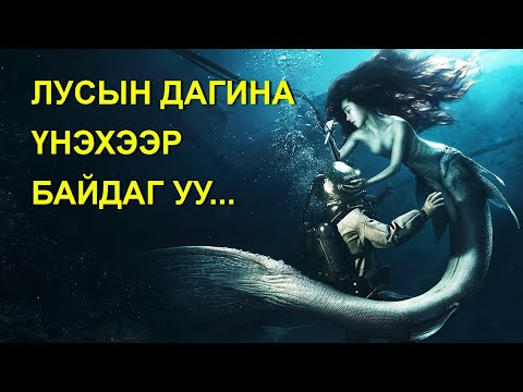 Видео: Сахалтай луу хаана амьдардаг вэ?