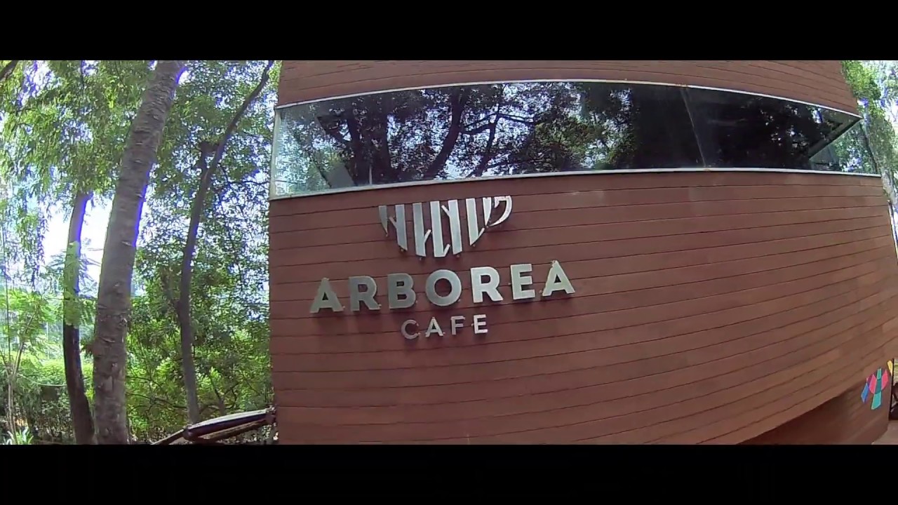 Arborea cafe