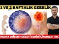 1 Haftalık Gebelik ve 2 Haftalık Gebelik (2021)