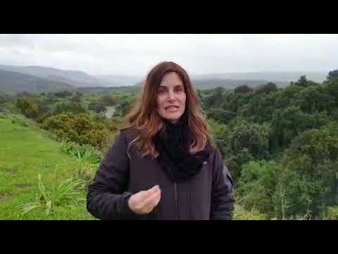 סוד שירת הים כיצד לפתוח מחסומים-שבת שירה