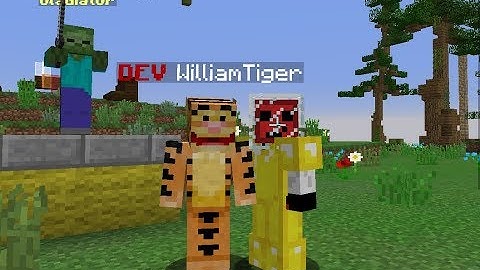 Mineplex Developer Interview [WilliamTiger]