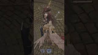 The Bird off the top Rope