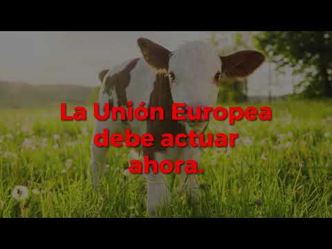 #BanLiveExports 2024 | Paremos las exportaciones de animales vivos