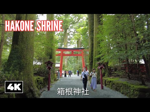 ⛩️ Exploring Hakone's Famous Shrine! || Hakone, Kanagawa [4K] Ambient Walk