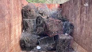 Ghost Busters! Taking on ghost crab pots in Delaware’s Inland Bays