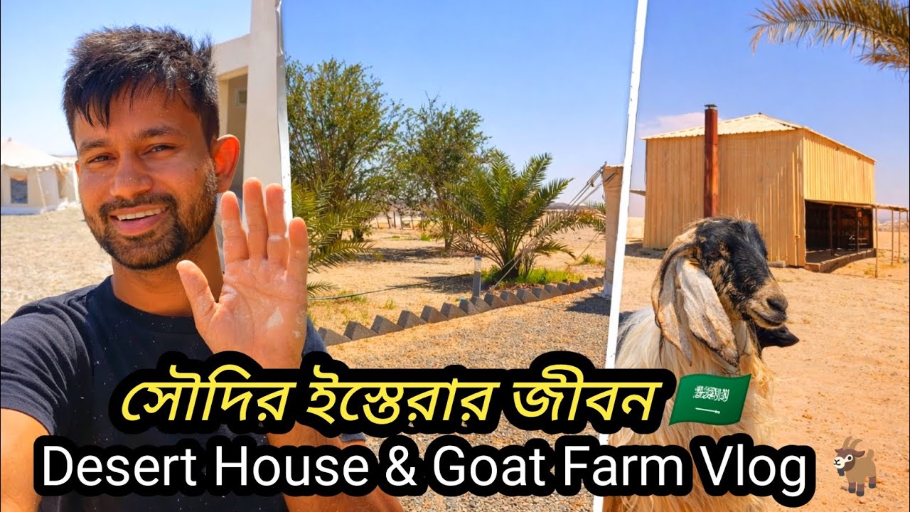 সৌদির ইস্তেরার জীবন 🇸🇦 | Desert House & Goat Farm Vlog 🐐