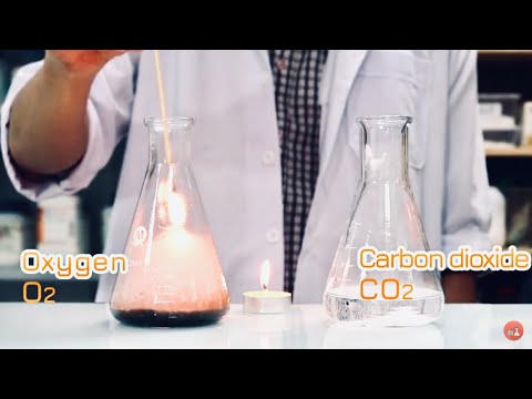 Video: Những quan sát thí nghiệm nào cho thấy một sự thay đổi hóa học đang diễn ra?