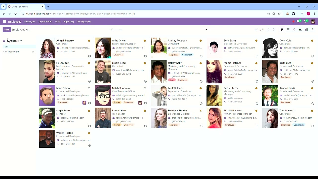 Odoo   GOSI Integration
