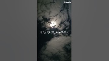 فقط دقيقه من وقتك استمع الى القران الكريم ❤️