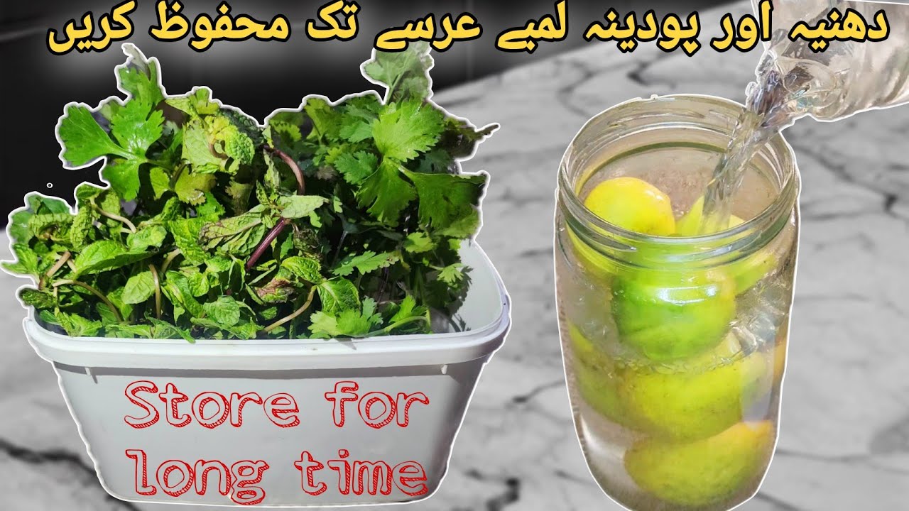How to Store Mint , Coriander Leaves & Lemon For Long Time in Fridge! 