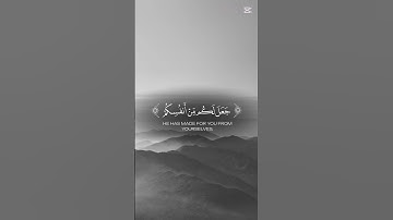 سورة الشورى بتلاوة الشيخ طارق محمد🩶||#explore #قران_كريم #سورة_الشورى #طارق_محمد