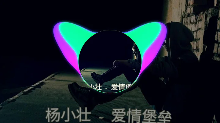 杨小壮 - 爱情堡垒（DJ版）你像 花儿一样很美 美的让人沉醉 让我忘了我是谁！抖音歌曲！抖音爆红的歌 - 天天要闻