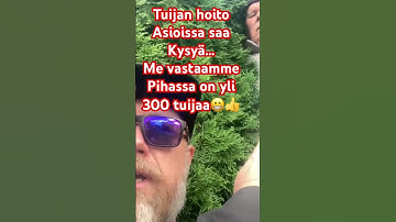 17. lokakuuta 2025