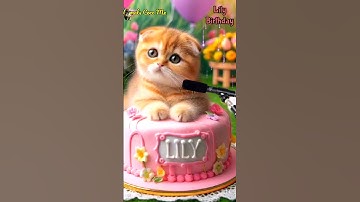 Thumbnail of HAPPY BIRTHDAY LILY | HAPPY BIRTHDAY SONG WITH NAMES | Adorable Cute Cat 😺 #cat #cute