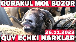 BUXORO QORAKUL MOL BOZOR. QUY ECHKI NARXLAR 26.11.2024@jondoruz5002