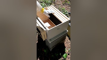 Hive 2 Nuc installation Part 1