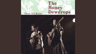 Video thumbnail of "The Honey Dewdrops - Nobody in this World"