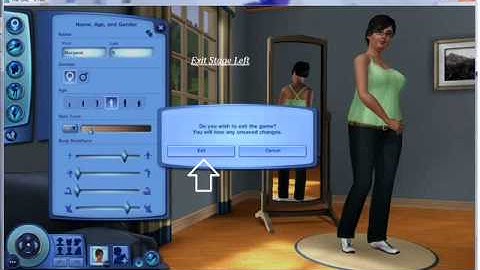 How to make a sims3 character into a sims3.com avatarwmv