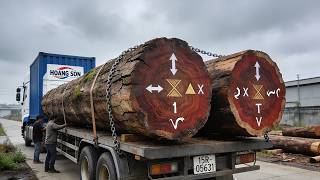 Best Tree Felling Methods in 2026: Ultimate Timber Harvesting Guide