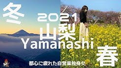 みそちゅーぶ 自営業独身女の人生日記 Youtube