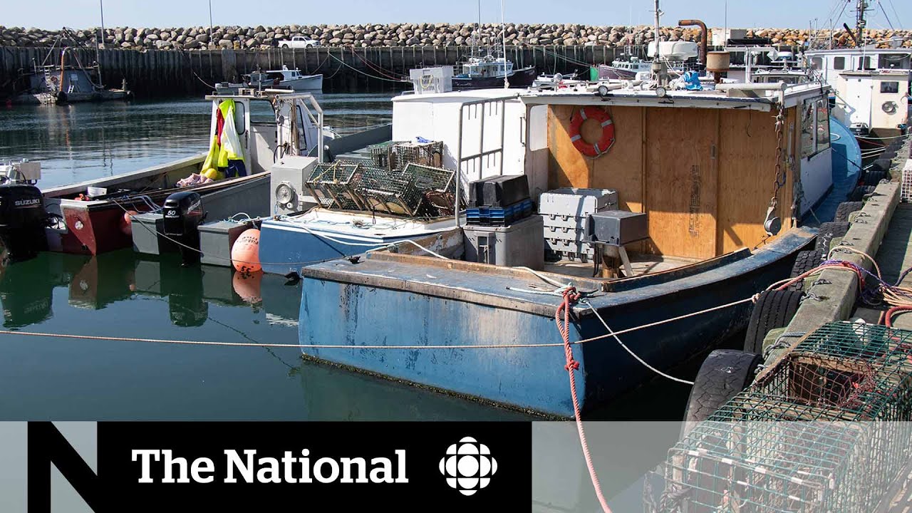 N.S. lobster dispute could have lasting consequences