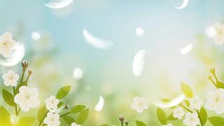 4K Flower Video Flower 💐 Video Background 🌸 Flower Video Editing 🌺 Creative Flower Video  #4K #free screenshot 5