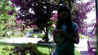 Bandaid Original Song