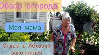 Отдых в Абхазии закончился / Прополка огорода/ Мама в главной роли/ Я в гневе от комментария/