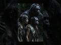 Life Million Years Ago #23