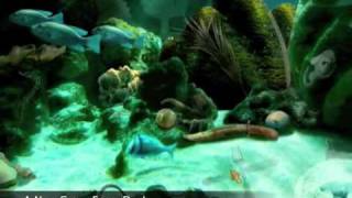 20,000 Leagues Under the Sea screenshot 5